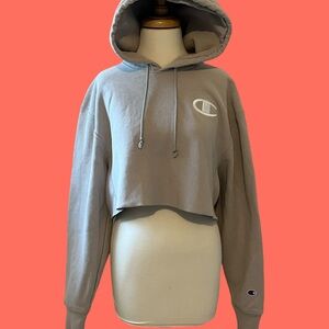 Champion Gray Cropped Hoodie